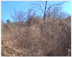  2024Ÿ��89753  �Ӿ߰��