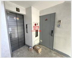  2024Ÿ��2046  ����Ʈ���