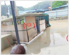  2024Ÿ2572  õ ̸  337      