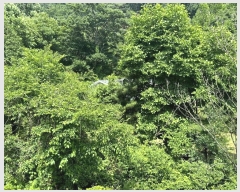  2024Ÿ��3322 ��� ��õ�� ���߸� ���ָ� 10      ���ð��