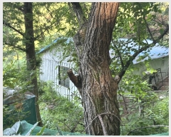  2024Ÿ��3322 ��� ��õ�� ���߸� ���ָ� 10      ���ð��