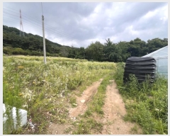  2024Ÿ4202  õ  ̰ 16-11      (1)