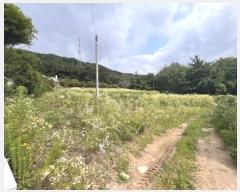  2024Ÿ4202  õ  ̰ 16-11      (1)