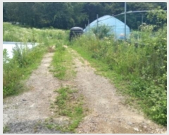  2024Ÿ4202  õ  ̰ 16-11      (1)