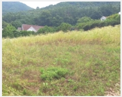  2024Ÿ4202  õ  ̰ 16-11      (1)