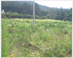  2024Ÿ4202  õ  ̰ 16-11      (1)