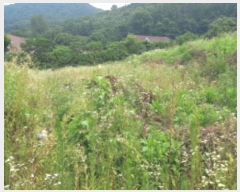  2024Ÿ4202  õ  ̰ 16-11      (1)