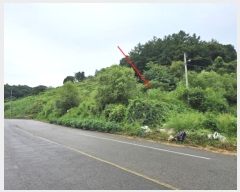  2024Ÿ��4783 ��� ��õ�� ������ ��Ÿ� 354      ����(��1)���