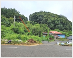  2024Ÿ��4783 ��� ��õ�� ������ ��Ÿ� 354      ����(��1)���