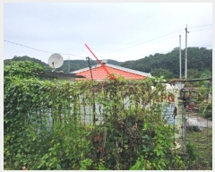  2024Ÿ��4783 ��� ��õ�� ������ ��Ÿ� 354      ����(��1)���