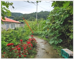  2024Ÿ��4783 ��� ��õ�� ������ ��Ÿ� 354      ����(��1)���