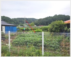  2024Ÿ��4783 ��� ��õ�� ������ ��Ÿ� 354      ����(��1)���