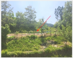  2024Ÿ��76061  �����