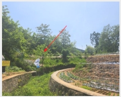  2024Ÿ��76061  �����