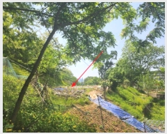  2024Ÿ��76061  �����