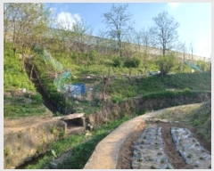  2024Ÿ��76061  �����