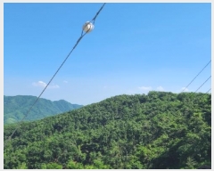  2024Ÿ��79053 ���� ö���� ������ ������ ��170      ����(�Ӿ�)���