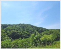  2024Ÿ��79053 ���� ö���� ������ ������ ��170      ����(�Ӿ�)���