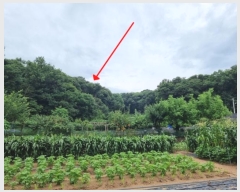  2024Ÿ81803  ֽ  ϸ 60-2      (Ӿ)