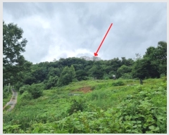  2024Ÿ81803  ֽ  ϸ 60-2      (Ӿ)