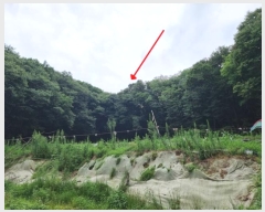  2024Ÿ81803  ֽ  ϸ 60-2      (Ӿ)