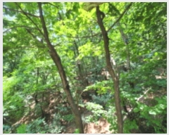  2024Ÿ81803  ֽ  ϸ 60-2      (Ӿ)