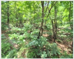  2024Ÿ81803  ֽ  ϸ 60-2      (Ӿ)