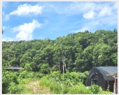  2024Ÿ81803  ֽ  ϸ 60-2      (Ӿ)