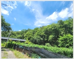  2024Ÿ81803  ֽ  ϸ 60-2      (Ӿ)