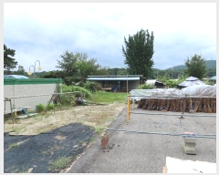  2024Ÿ82981  ֽ  Ű 62-7      Ұ