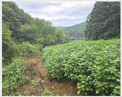  2024Ÿ��85270 ��� ��õ�� �̻�� ������ 199      ����(��1)���