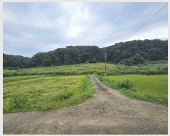  2024Ÿ��85270 ��� ��õ�� �̻�� ������ 199      ����(��1)���