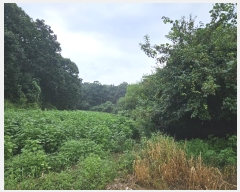  2024Ÿ��85270 ��� ��õ�� �̻�� ������ 199      ����(��1)���