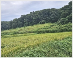  2024Ÿ��85270 ��� ��õ�� �̻�� ������ 199      ����(��1)���