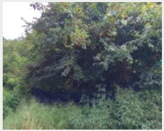  2024Ÿ��85270 ��� ��õ�� �̻�� ������ 199      ����(��1)���