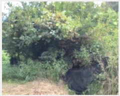  2024Ÿ��85270 ��� ��õ�� �̻�� ������ 199      ����(��1)���