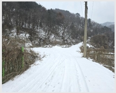  2024Ÿ��89777  �����