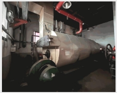  2024Ÿ��92025 ��� ���ֽ� ���� ����� 665-11      ������