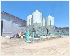  2024Ÿ��3193 ���� ö���� ö���� ���̸� 256-20      ���(�󰡽ü�)���