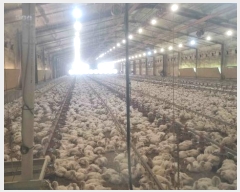  2024Ÿ��3193 ���� ö���� ö���� ���̸� 256-20      ���(�󰡽ü�)���