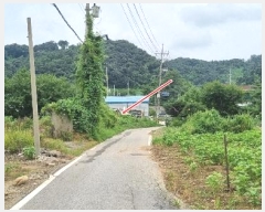  2024Ÿ��4752  �������