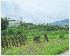  2024Ÿ��4752  �������