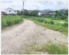  2024Ÿ��4752  �������