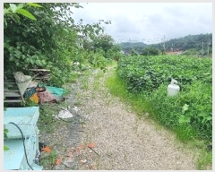  2024Ÿ��4752  �������