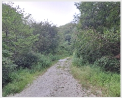  2024Ÿ��84604 ��� ��õ�� �̵��� ���� ��421      ����(�Ӿ�)���