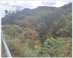  2024Ÿ87320  õ ̵ ϸ 233-3      (Ӿ)