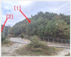  2024Ÿ87320  õ ̵ ϸ 233-3      (Ӿ)