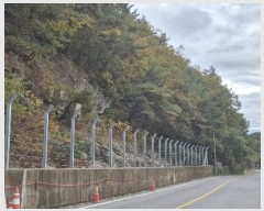  2024Ÿ87320  õ ̵ ϸ 233-3      (Ӿ)