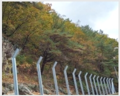  2024Ÿ87320  õ ̵ ϸ 233-3      (Ӿ)