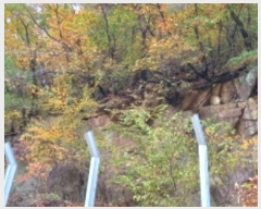  2024Ÿ87320  õ ̵ ϸ 233-3      (Ӿ)